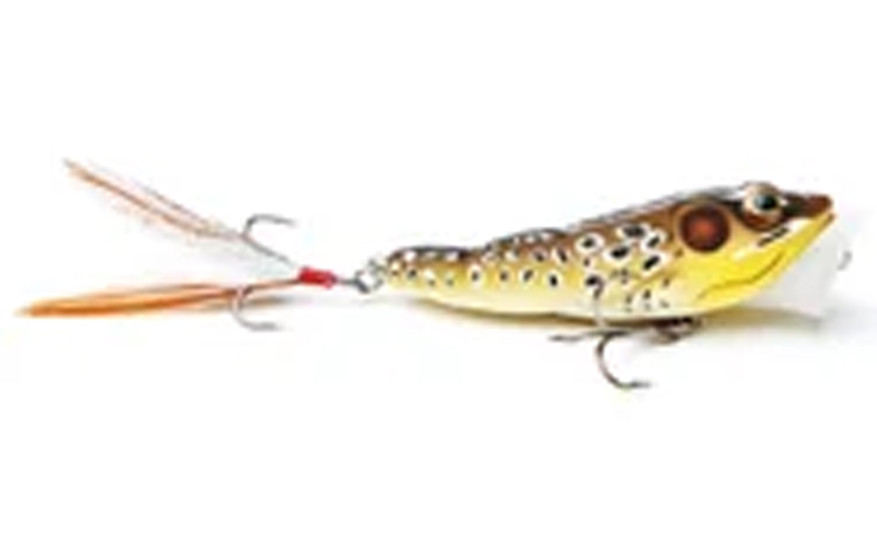 Live Target Frog Popper 1/4oz (FGP65T)