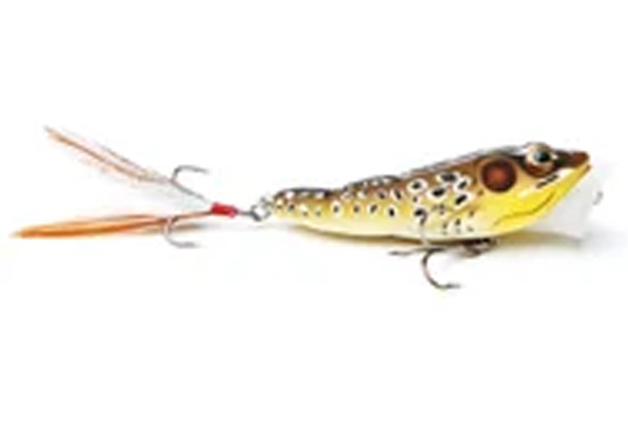 Live Target Frog Popper 1/2oz (FGP75T)