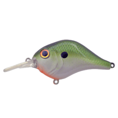 Bill Lewis MR-6 Crankbait Slow Rise