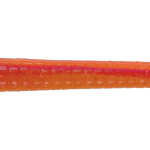 Roboworm Straight Tail Worm 7 Inches - (SL)